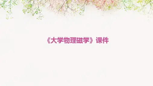 《大学物理磁学》课件