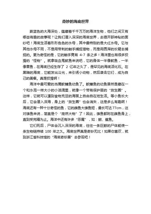 奇妙的海底世界