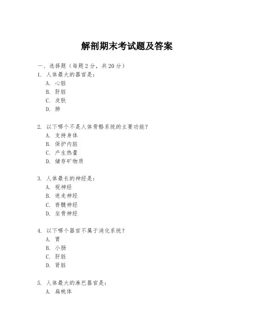 解剖期末考试题及答案