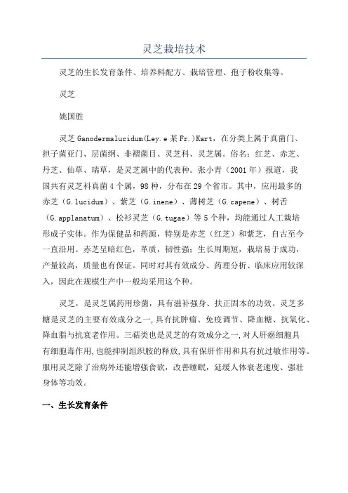 灵芝栽培技术