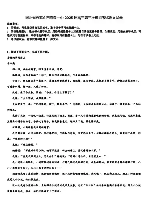 河北省石家庄市鹿泉一中2025届高三第三次模拟考试语文试卷含解析