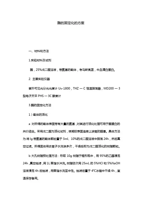 酶的固定化方案