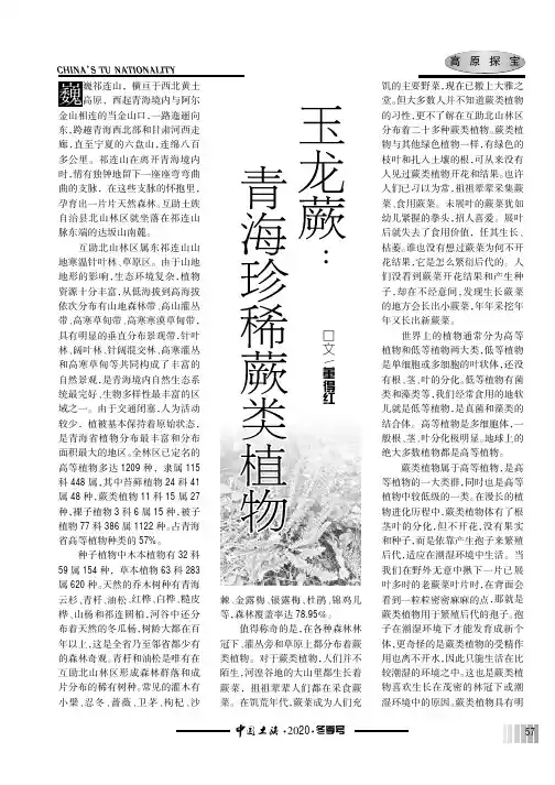 玉龙蕨青海珍稀蕨类植物