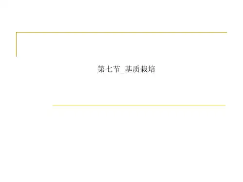 第七节_基质栽培