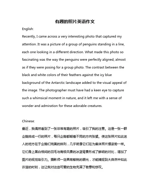 有趣的照片英语作文