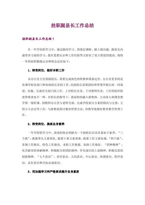 挂职副县长工作总结_1
