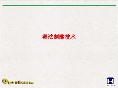 湿法制酸技术最新版PPT