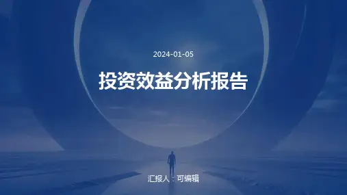 投资效益分析报告