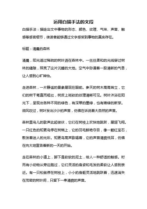 运用白描手法的文段