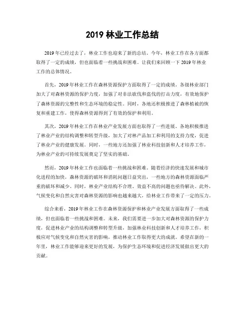 2019林业工作总结