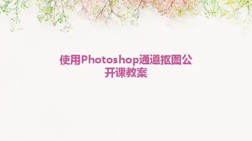 使用Photoshop通道抠图公开课教案