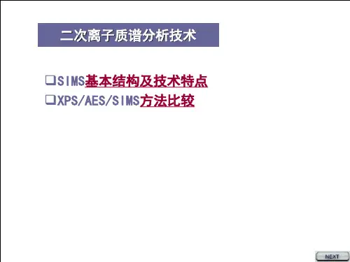 现代分析测试技术-SIMS