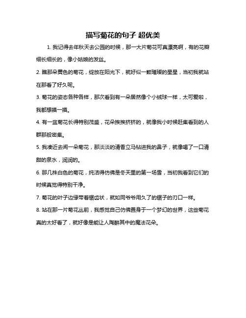 描写菊花的句子 超优美