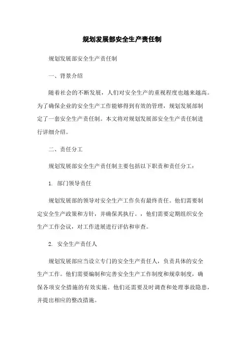 规划发展部安全生产责任制