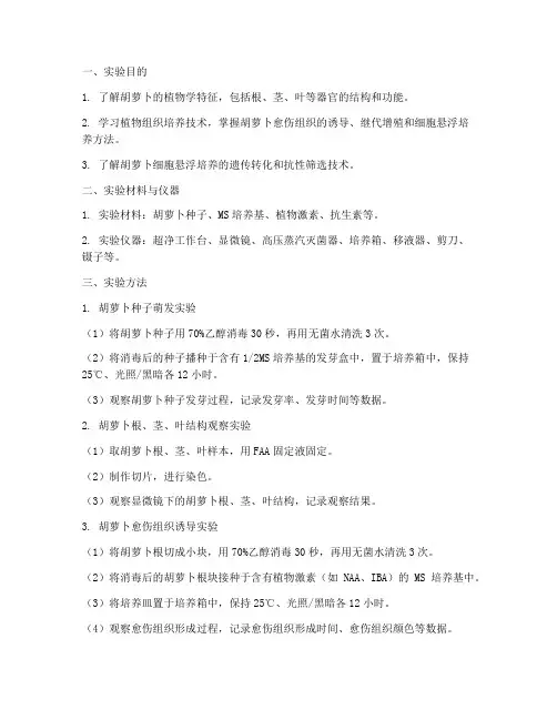 胡萝卜的植物学实验报告