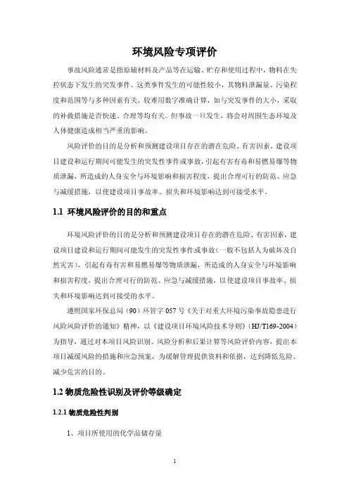 环境风险专项评价