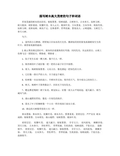 描写树木高大茂密的句子和词语
