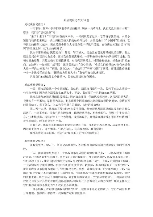 蚂蚁观察记作文20篇