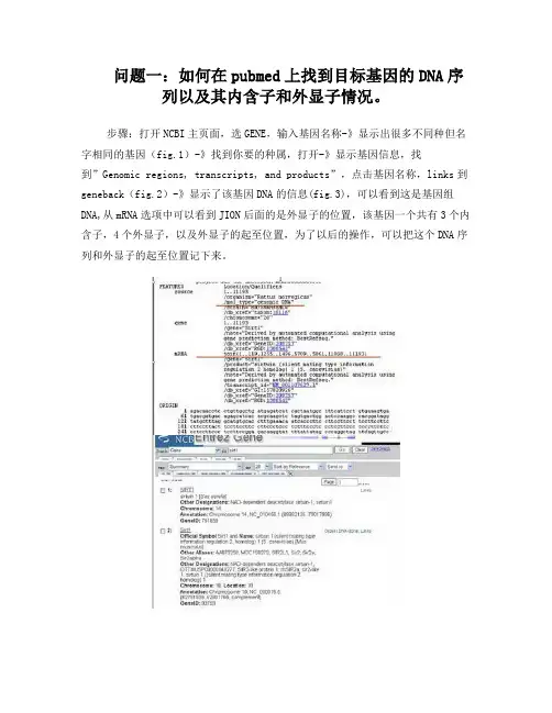 RT-PCR引物设计与是否跨内含子的检测方法(图)