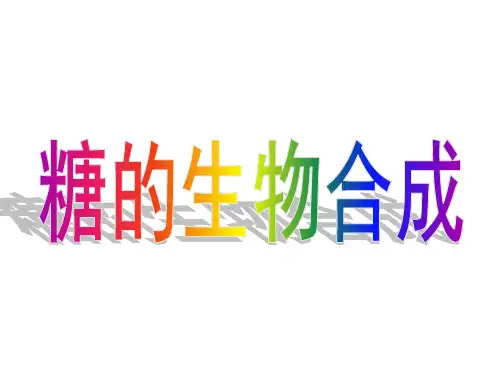 糖的异生作用