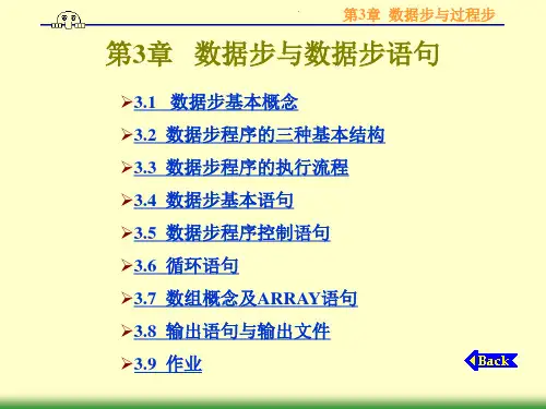 第3章   sas数据步与数据步讲义