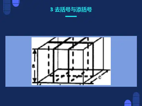 《去括号与添括号》课件(共27张PPT)