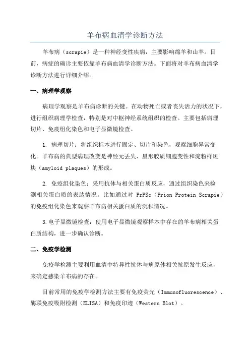 羊布病血清学诊断方法