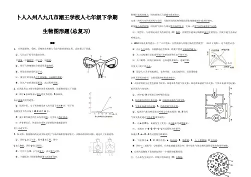 七年级生物下学期图形题总复习 试题