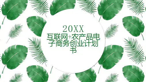 互联网农产品电子商务创业计划书