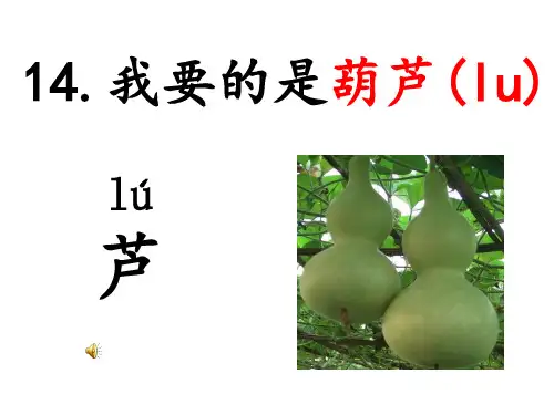 14我要的是葫芦  课件(共37张PPT)