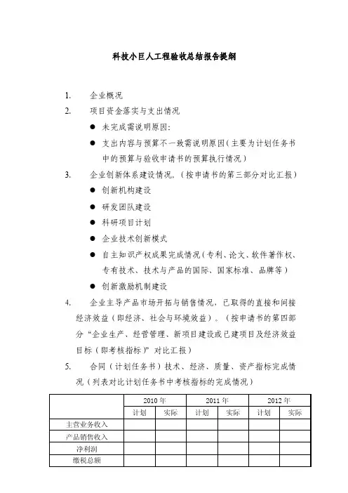 科技小巨人工程验收总结报告提纲