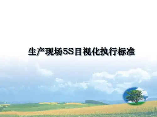 潍柴动力-生产现场5S目视化执行标准(PPT 29页)