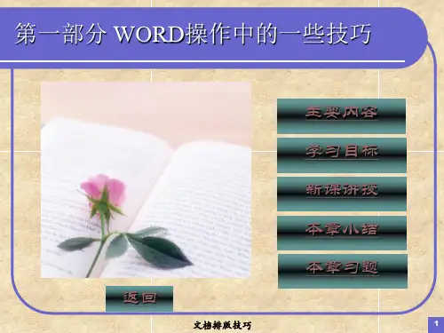 长篇文档排版技巧