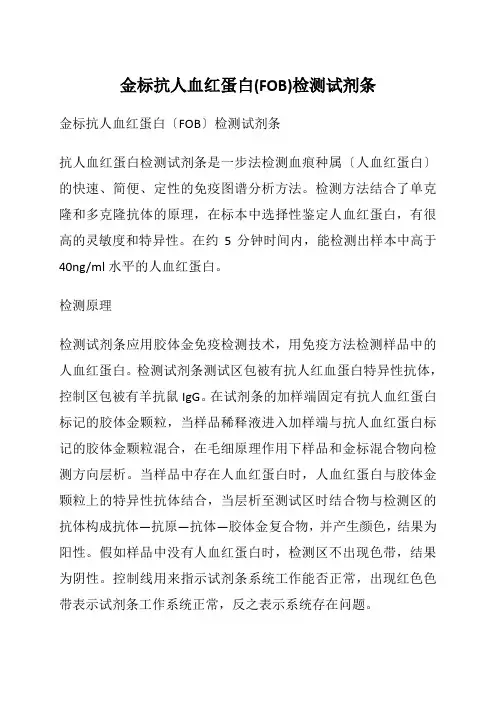 金标抗人血红蛋白(FOB)检测试剂条