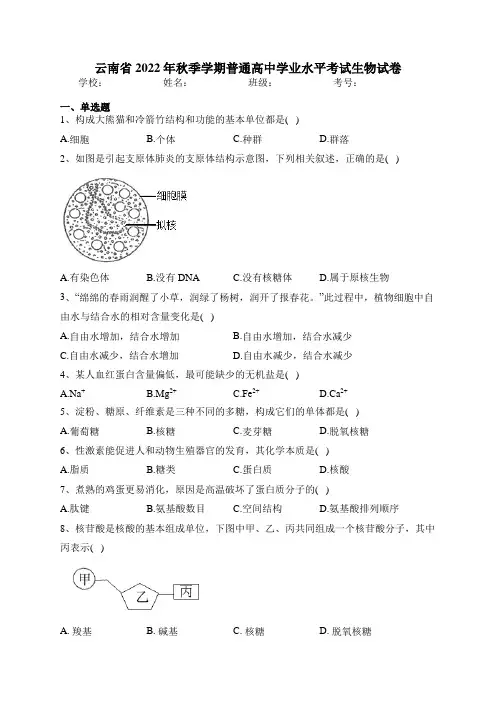 云南省2022年秋季学期普通高中学业水平考试生物试卷(含答案)