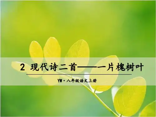 现代诗二首——一片槐树叶(共25张PPT)