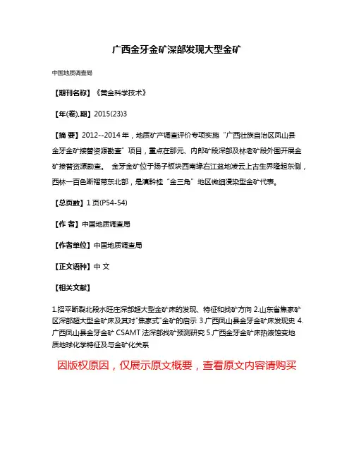 广西金牙金矿深部发现大型金矿