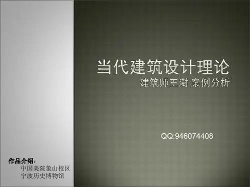 当代建筑设计理论-王澍