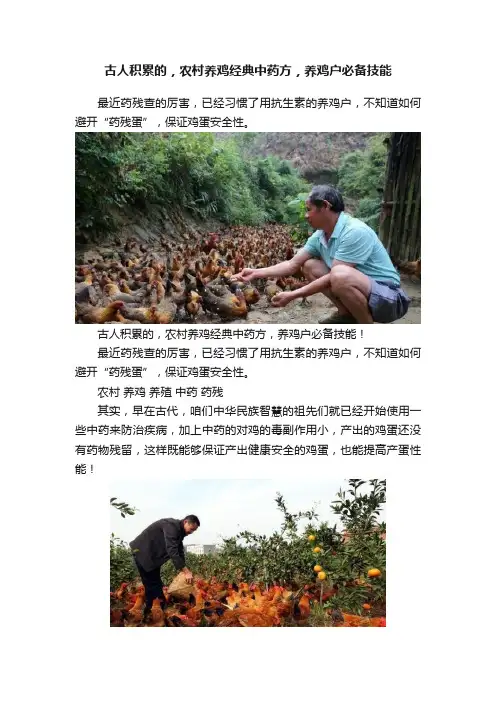古人积累的，农村养鸡经典中药方，养鸡户必备技能