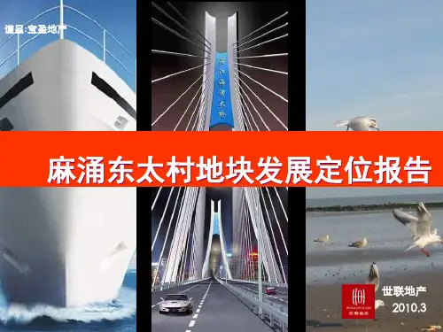 地块发展定位报告PPT(共 92张)