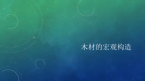 木材的微观构造
