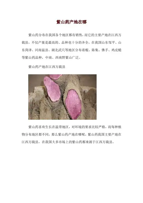 紫山药产地在哪