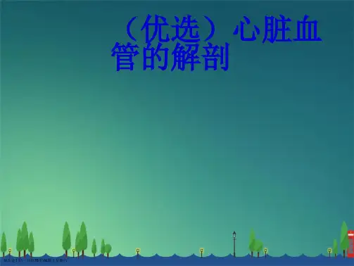 心脏血管的解剖演示