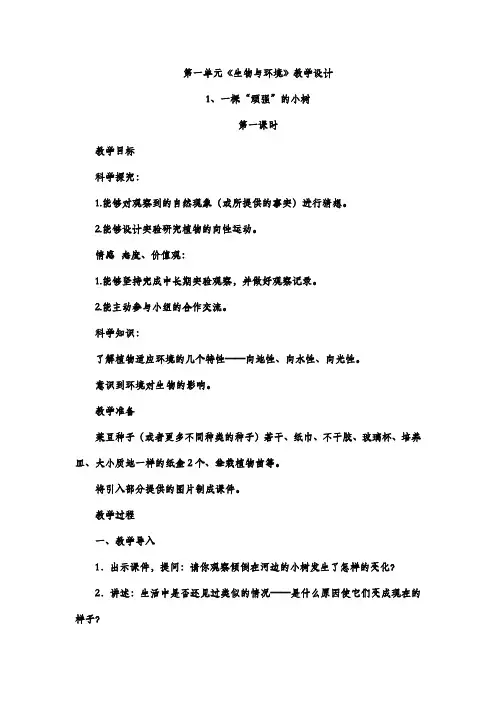 湘科版 六年级科学上册 全册教案
