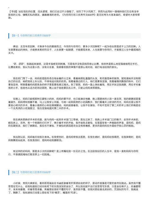 与你同行初三优秀作文600字