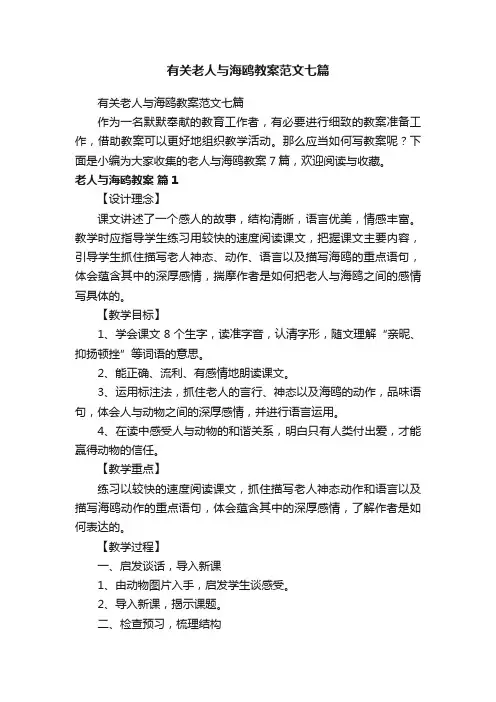有关老人与海鸥教案范文七篇