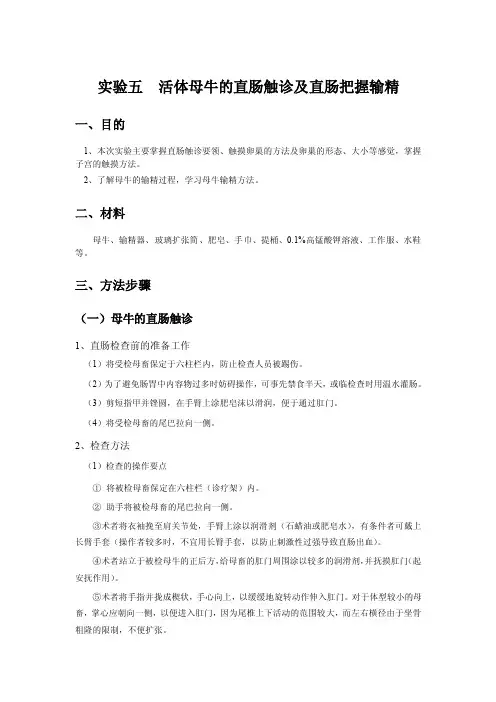 活体母牛的直肠触诊及直肠把握输精