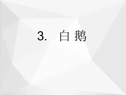 白鹅ppt课件