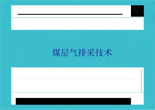 煤层气排采技术(共71张PPT)