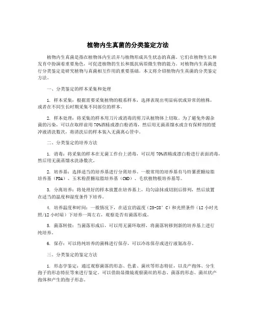 植物内生真菌的分类鉴定方法